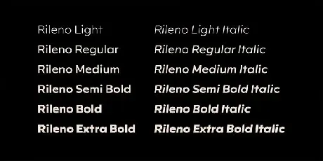 Rileno Sans Family font