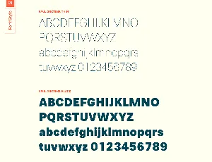 Paul Grotesk Typeface font