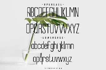 Alexa Queen font