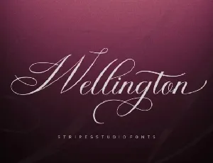 Wellington Script Typeface font