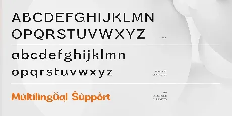 PNA Noeva Family font