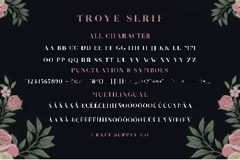 Troye font