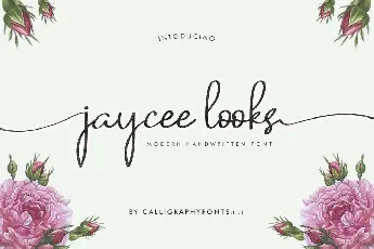 Jaycee Looks Demo font