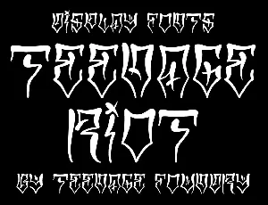 TF Teenage Riot DEMO font