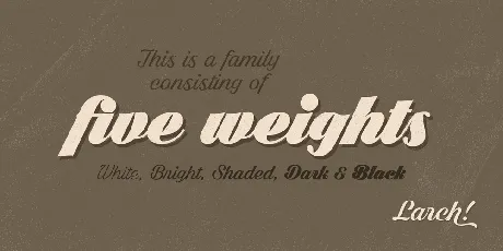 Dark Larch PERSONAL USE ONLY font