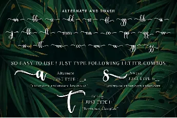 Tropical Leaves - Personal Use font