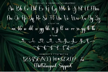 Tropical Leaves - Personal Use font