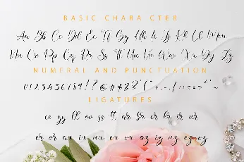 Lissa font