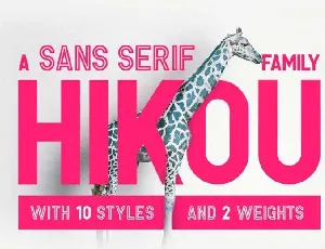 Hikou Regular font