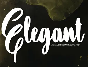 Elegant Script Typeface font