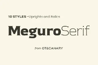 Meguro Serif Family font