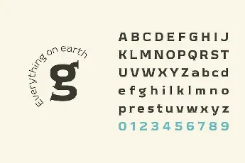 Meguro Serif Family font