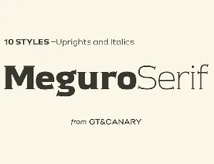 Meguro Serif Family font