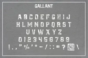 Gallant Display font