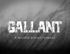 Gallant Display font