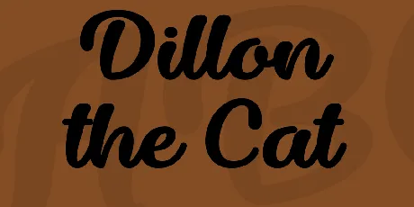 Dillon the Cat font