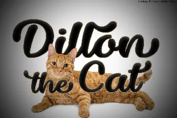 Dillon the Cat font