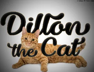 Dillon the Cat font