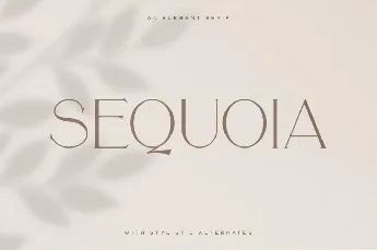 Sequoia font