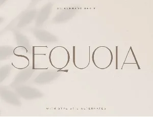 Sequoia font