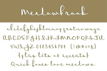 Meadowbrook font