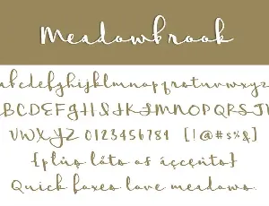 Meadowbrook font