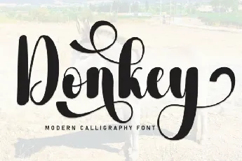 Donkey font