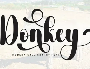 Donkey font