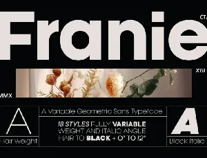 Franie Family font