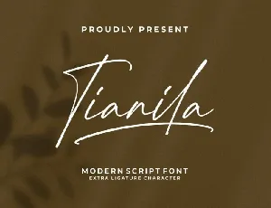 Tianila font