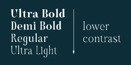 Hybridea Serif Family font