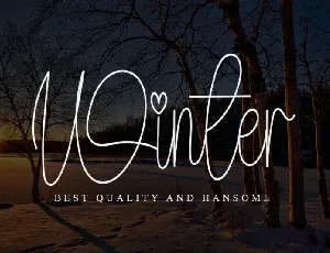 Winter Typeface font