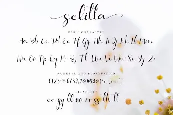 Selitta Modern Calligraphy font