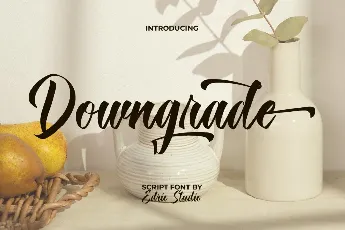 Downgrade Demo font