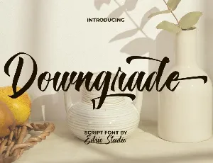 Downgrade Demo font