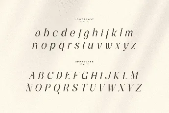 Bandaneira font