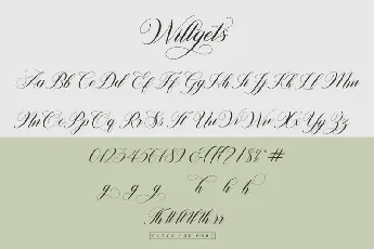 Willgets Elegant Calligraphy font