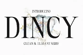 Dincy font