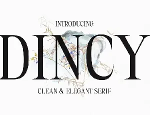 Dincy font