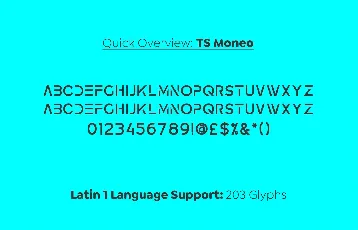 Ts Moneo font