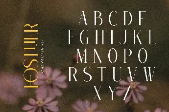 Fosther font