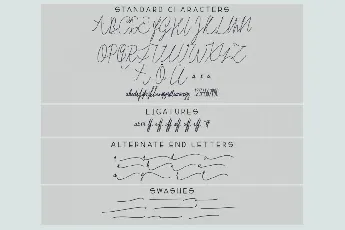 Mae Nitta Signature font