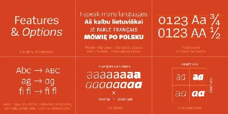 Spiegel Sans Family font