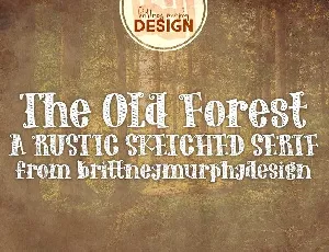 The Old Forest Handdrawn Serif font