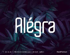 AlÃ©gra Typeface font