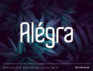 AlÃ©gra Typeface font