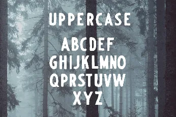 EVERGREEN font