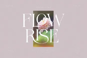 Flowrise font