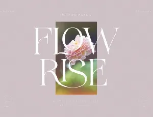 Flowrise font