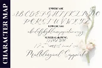 Gashina Lattiva font